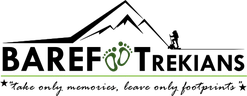 Barefoot Trekians logo
